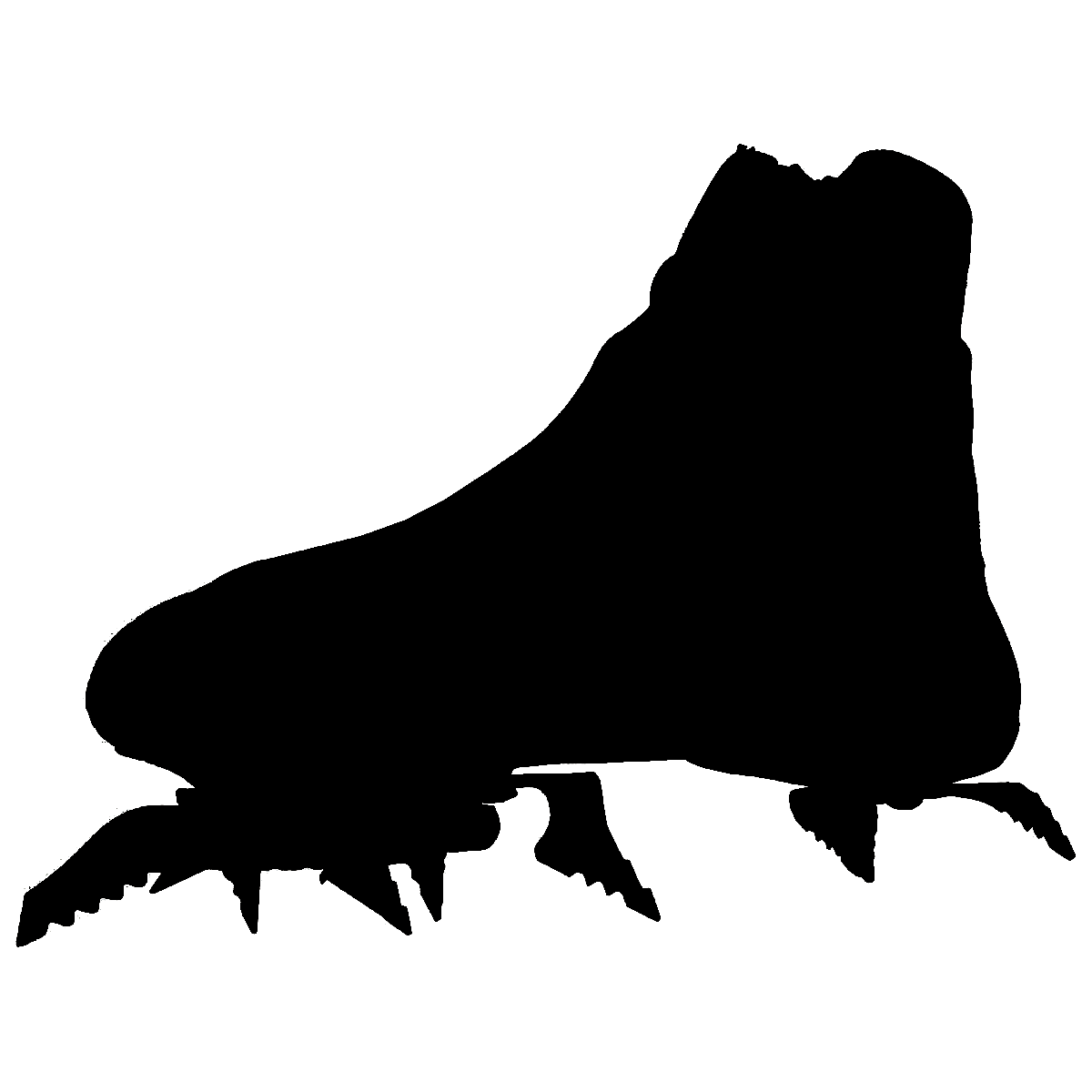 image4